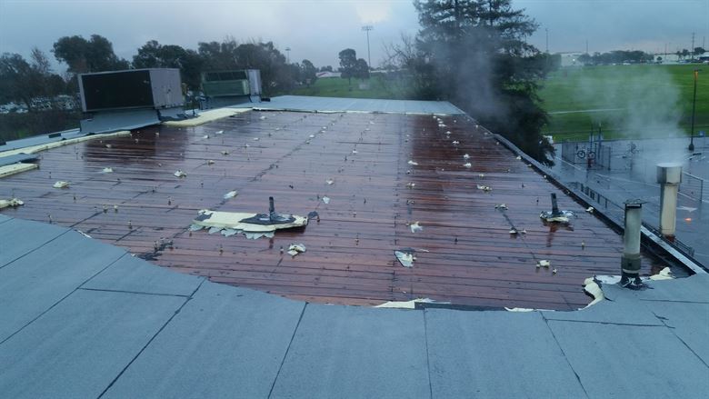 Roof Cleaning 